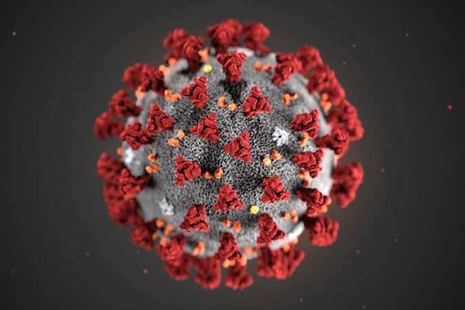 DECRETO COVID-19 (CORONA VIRUS)